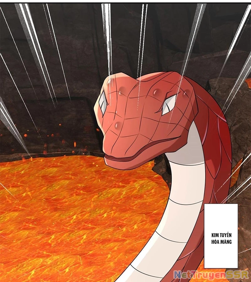 Người Ở Rể Bị Ép Thành Phản Diện Chapter 540 - Trang 4