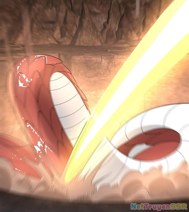 Người Ở Rể Bị Ép Thành Phản Diện Chapter 540 - Trang 4