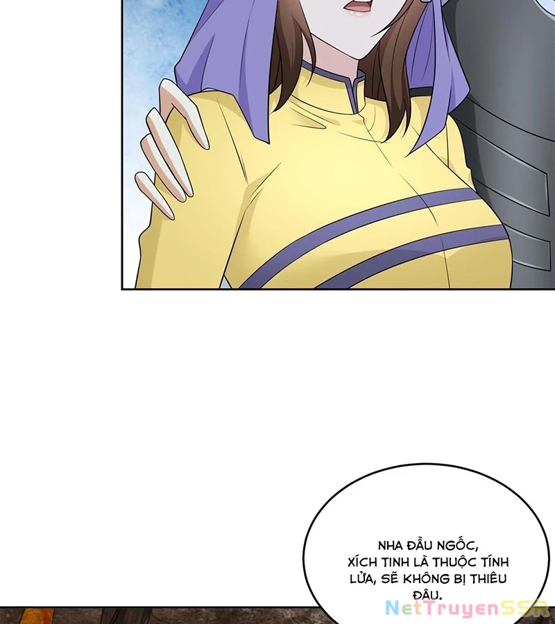 Người Ở Rể Bị Ép Thành Phản Diện Chapter 540 - Trang 4