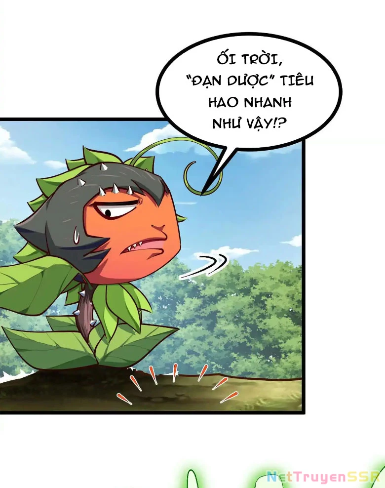 Thôn phệ đi, đại chùy hoa Chapter 11 - Trang 2