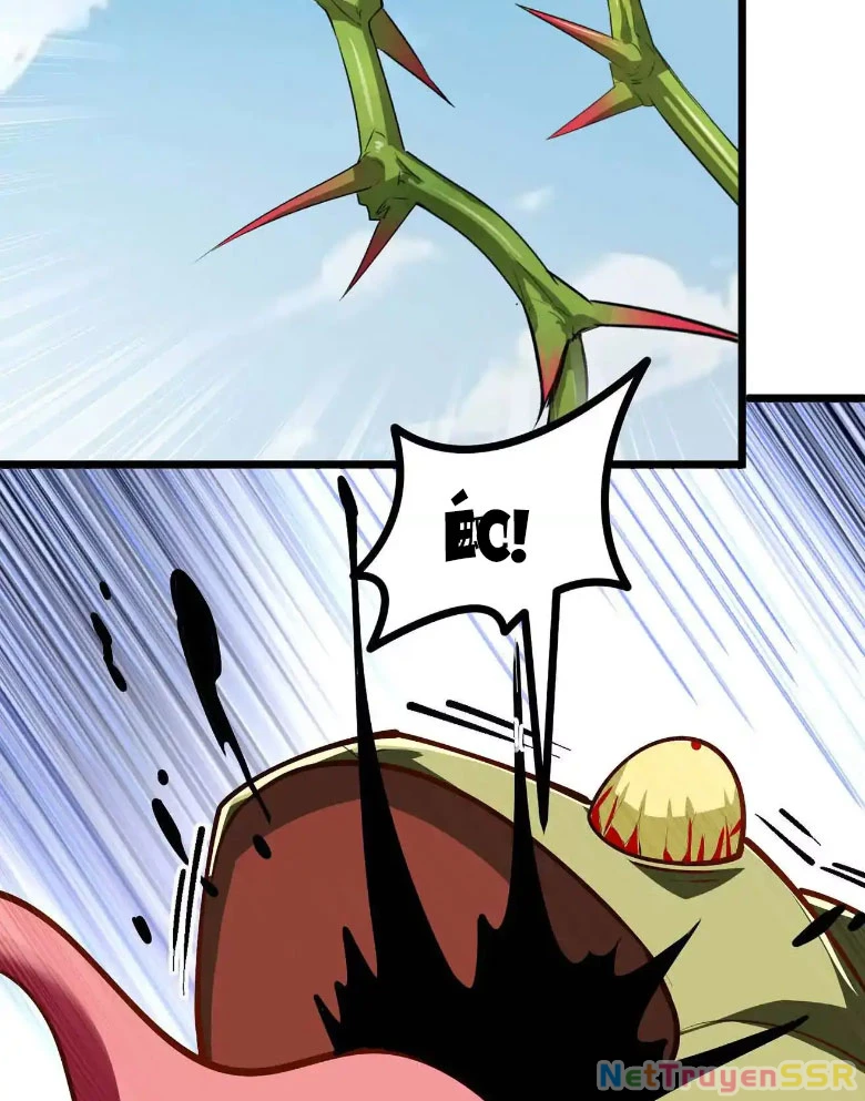 Thôn phệ đi, đại chùy hoa Chapter 11 - Trang 2