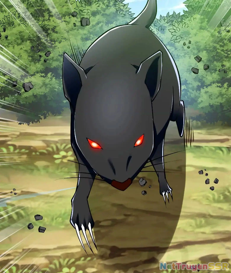 Thôn phệ đi, đại chùy hoa Chapter 11 - Trang 2