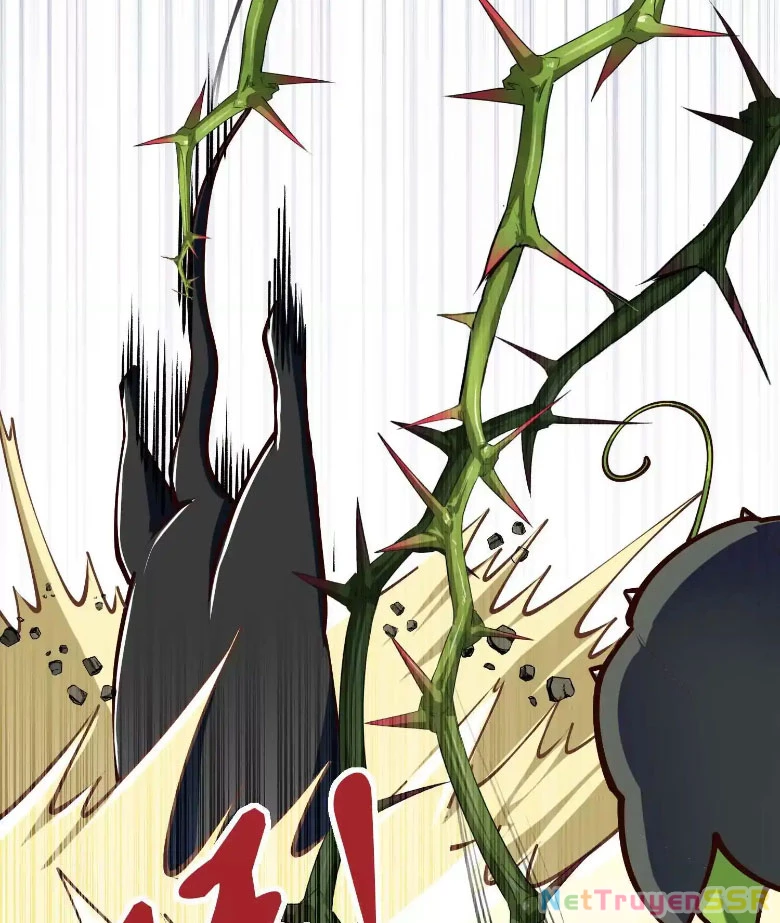 Thôn phệ đi, đại chùy hoa Chapter 11 - Trang 2