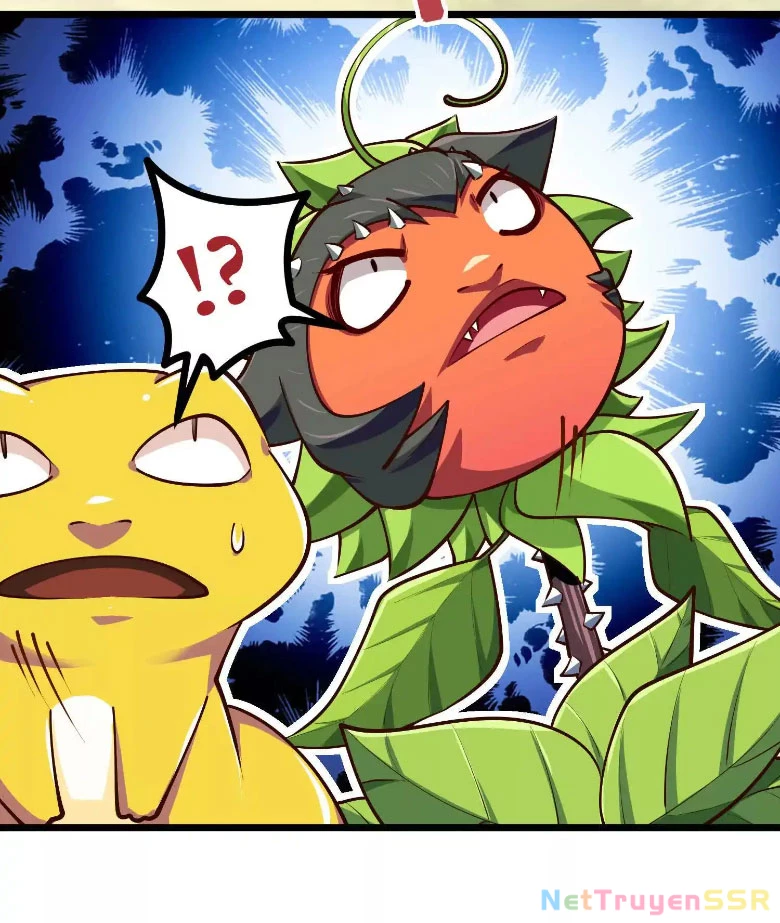 Thôn phệ đi, đại chùy hoa Chapter 11 - Trang 2