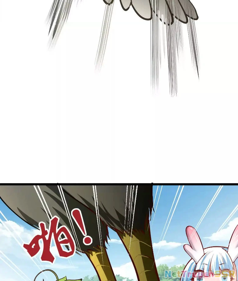 Thôn phệ đi, đại chùy hoa Chapter 11 - Trang 2