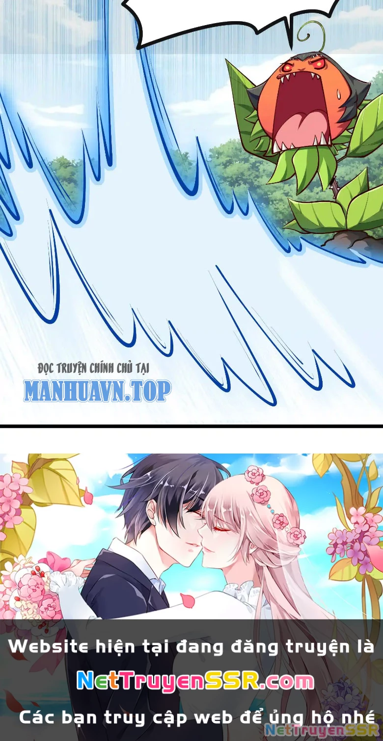 Thôn phệ đi, đại chùy hoa Chapter 11 - Trang 2