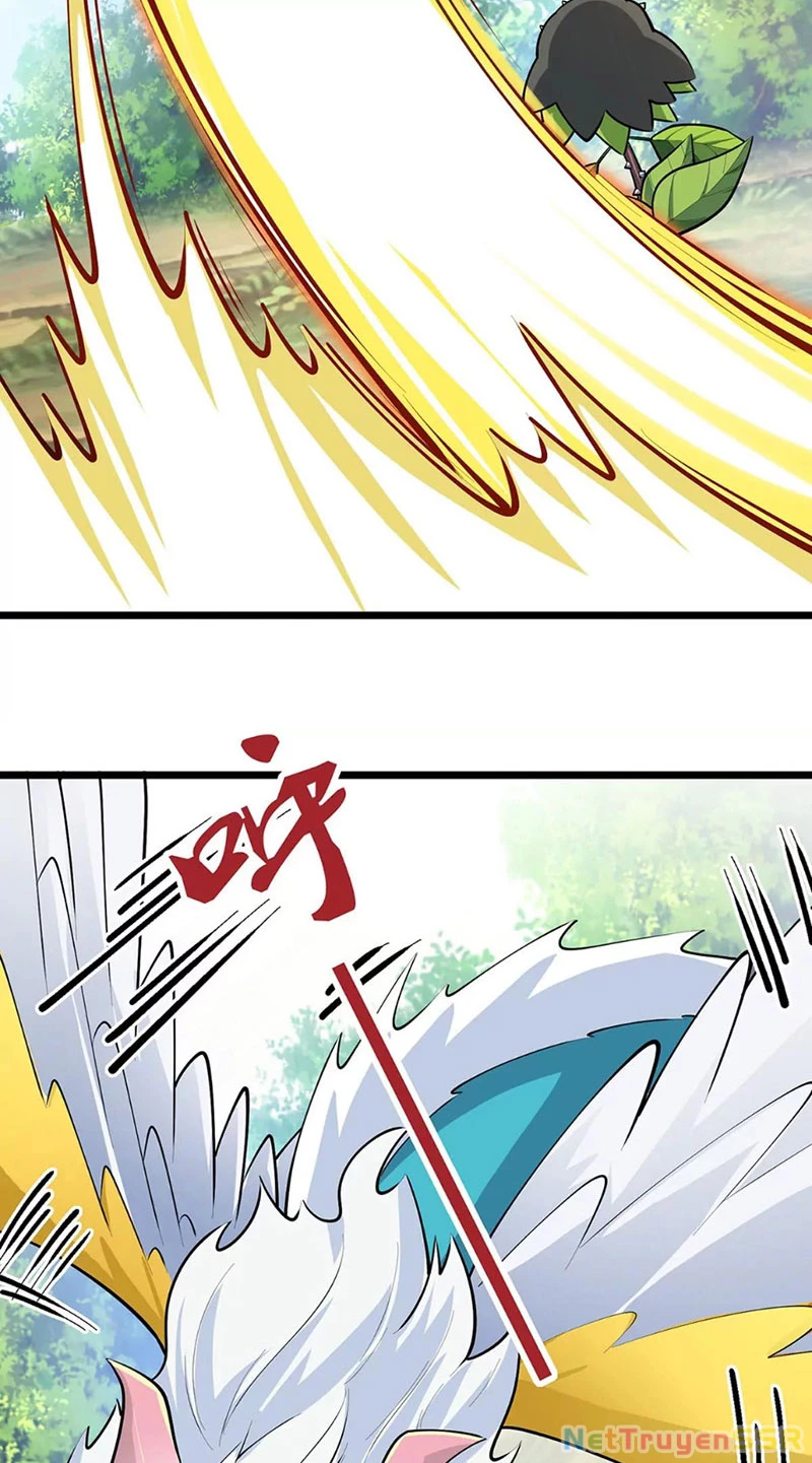 Thôn phệ đi, đại chùy hoa Chapter 12 - Trang 2