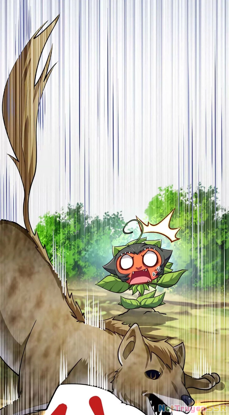 Thôn phệ đi, đại chùy hoa Chapter 13 - Trang 2