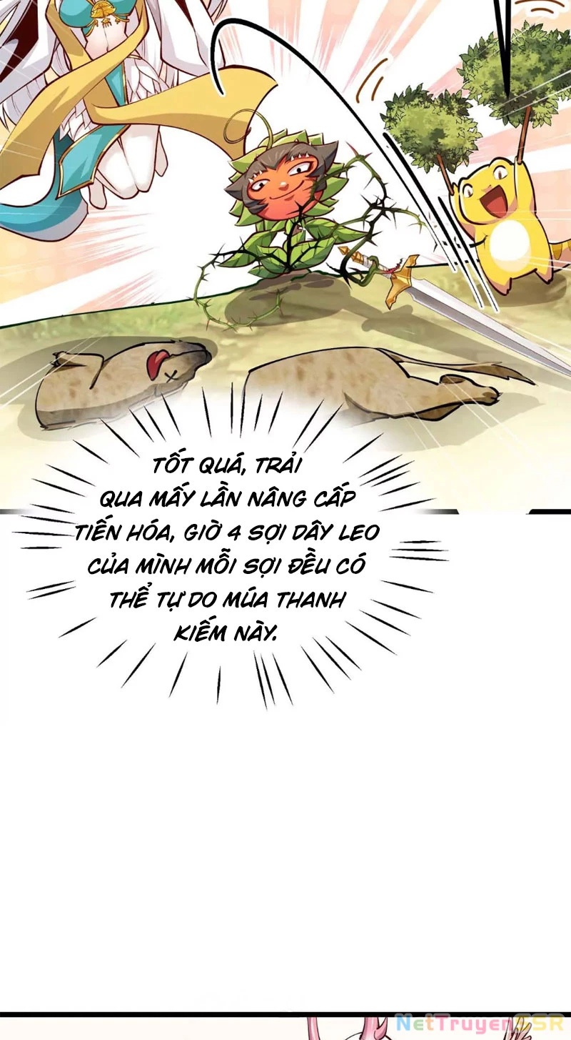 Thôn phệ đi, đại chùy hoa Chapter 14 - Trang 2