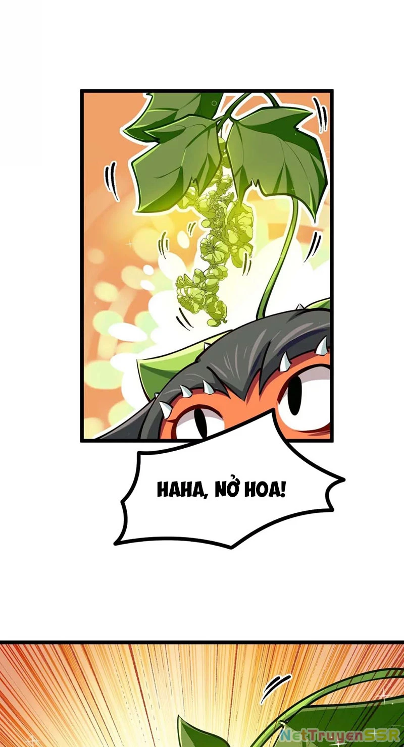 Thôn phệ đi, đại chùy hoa Chapter 15 - Trang 2