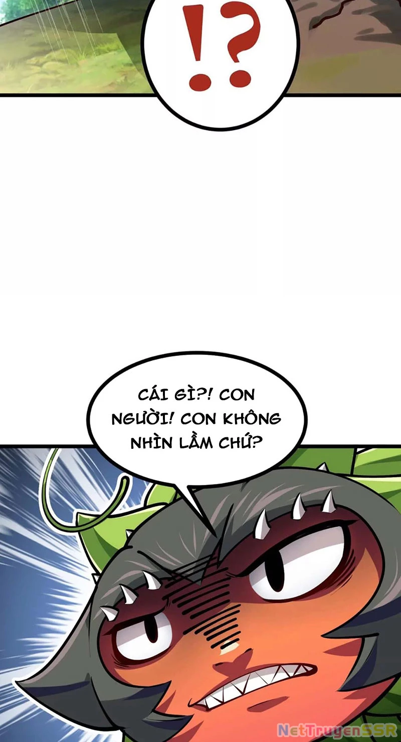 Thôn phệ đi, đại chùy hoa Chapter 15 - Trang 2