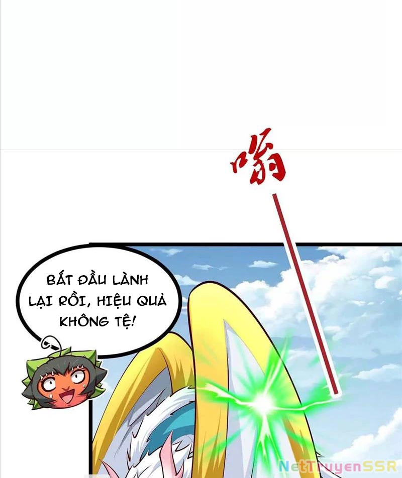 Thôn phệ đi, đại chùy hoa Chapter 16 - Trang 2