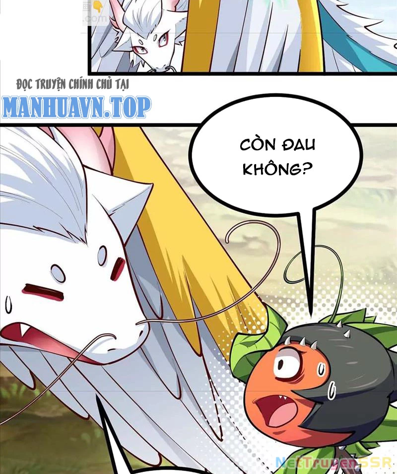 Thôn phệ đi, đại chùy hoa Chapter 16 - Trang 2