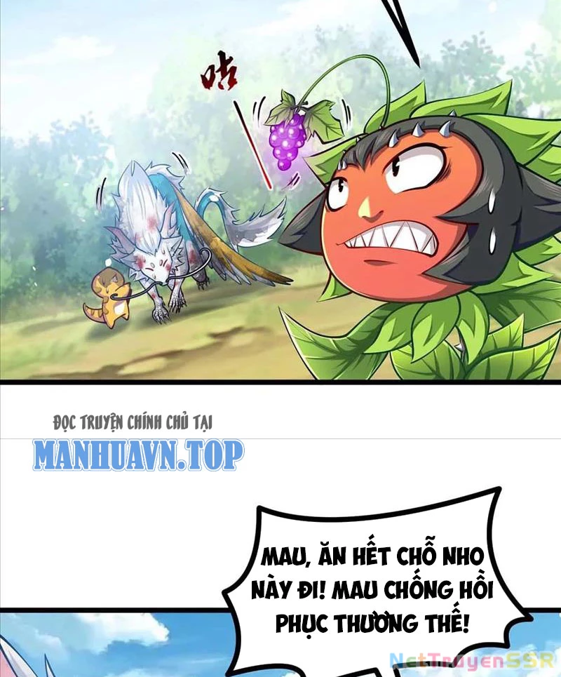 Thôn phệ đi, đại chùy hoa Chapter 18 - Trang 2