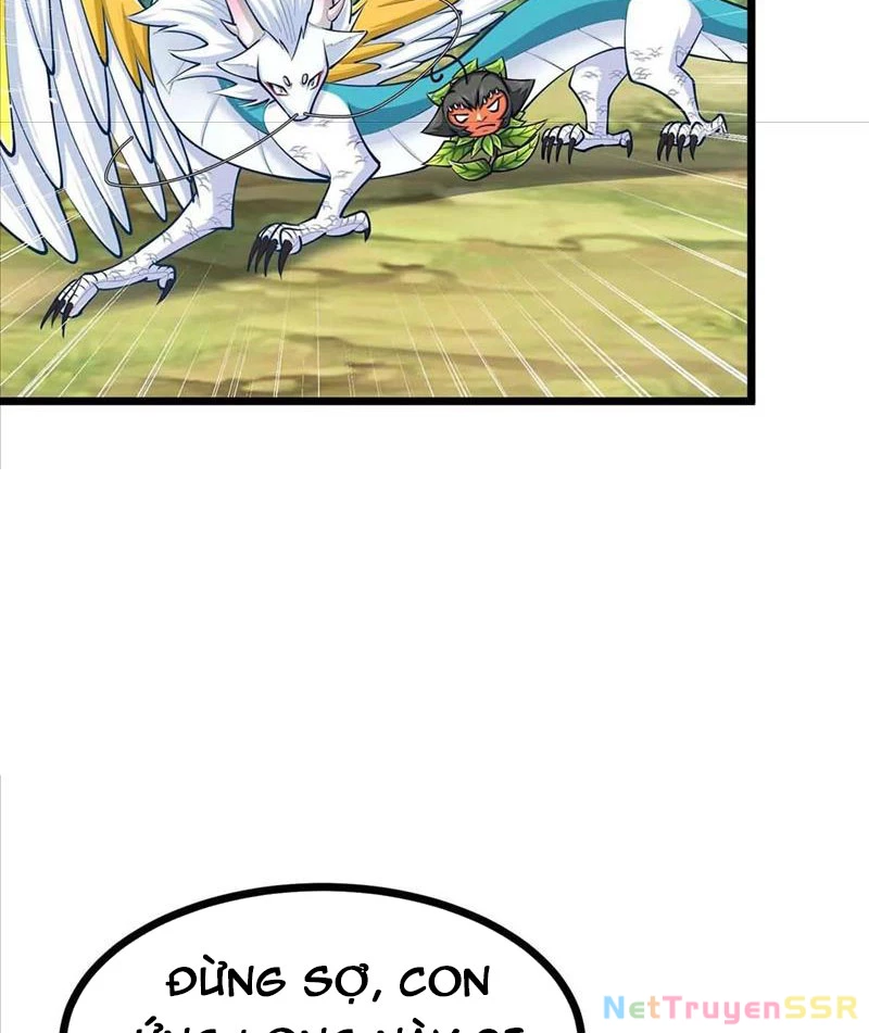 Thôn phệ đi, đại chùy hoa Chapter 18 - Trang 2