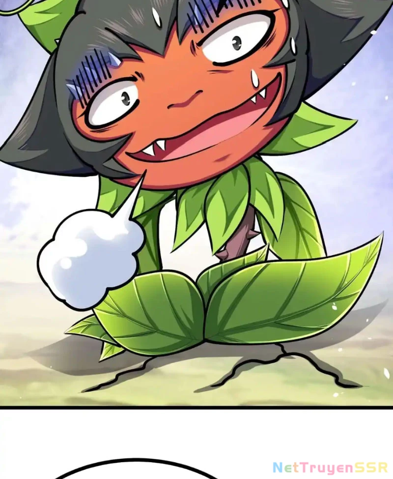 Thôn phệ đi, đại chùy hoa Chapter 19 - Trang 2