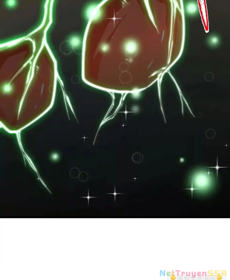 Thôn phệ đi, đại chùy hoa Chapter 20 - Trang 2