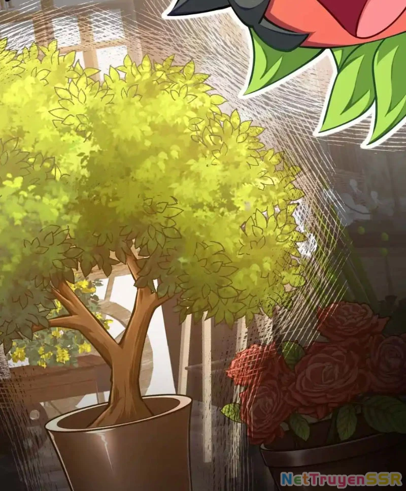 Thôn phệ đi, đại chùy hoa Chapter 20 - Trang 2