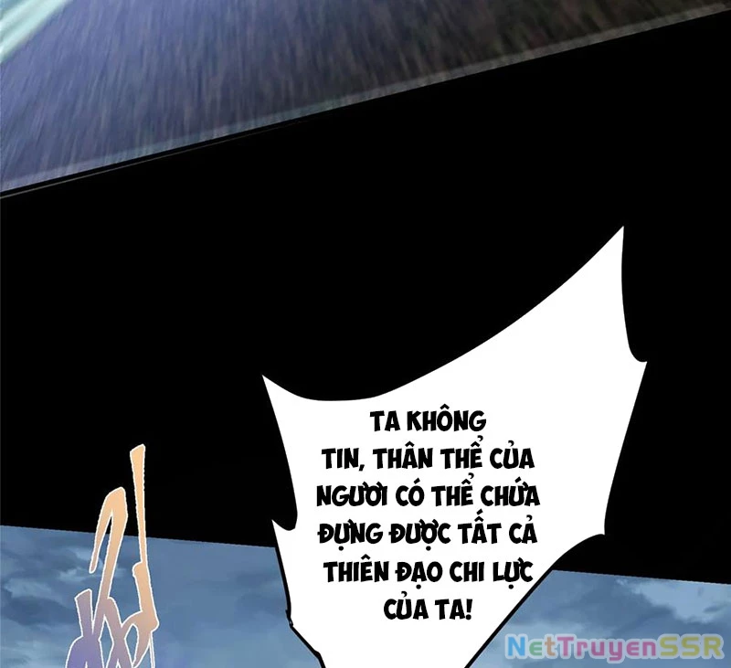 Chưởng Môn Khiêm Tốn Chút Chapter 376 - Trang 4