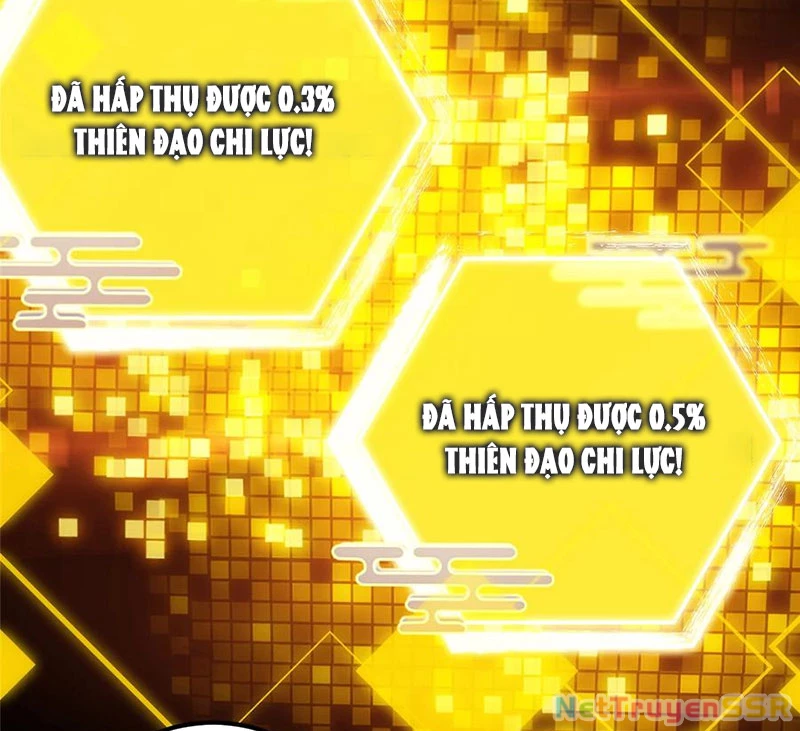 Chưởng Môn Khiêm Tốn Chút Chapter 376 - Trang 4