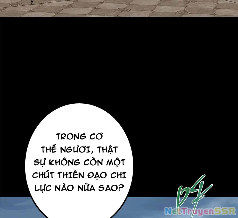 Chưởng Môn Khiêm Tốn Chút Chapter 376 - Trang 4