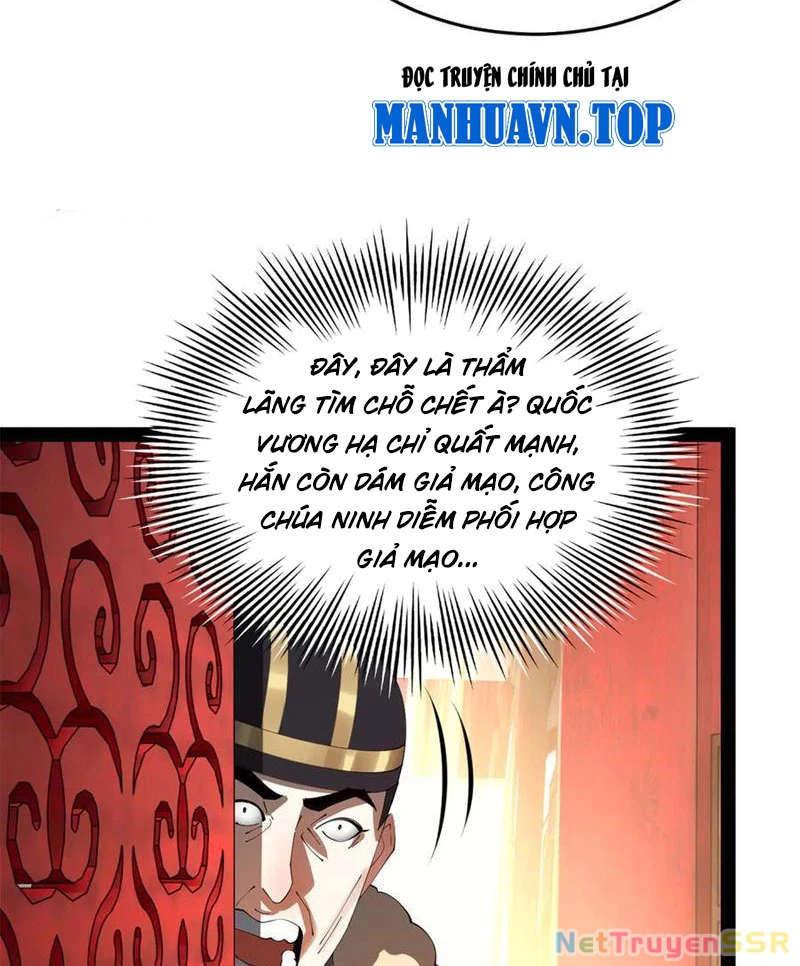 Chàng Rể Mạnh Nhất Lịch Sử Chapter 201 - Trang 4