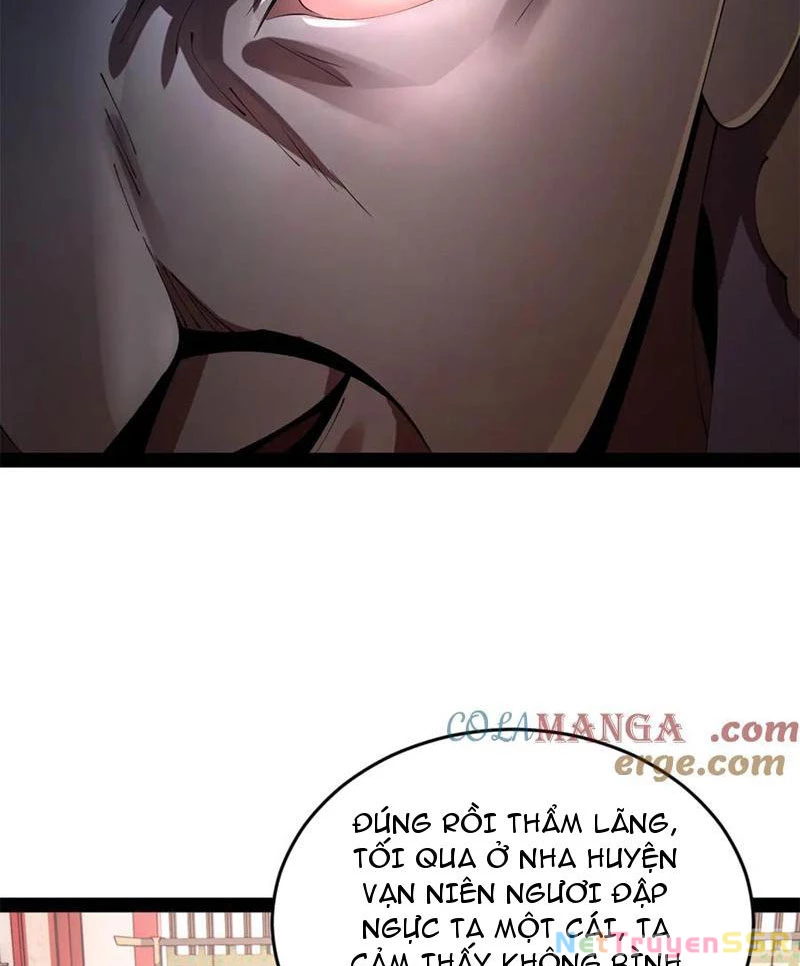 Chàng Rể Mạnh Nhất Lịch Sử Chapter 201 - Trang 4