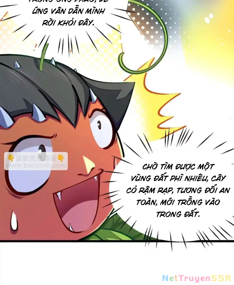 Thôn phệ đi, đại chùy hoa Chapter 21 - Trang 2