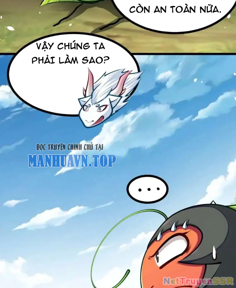 Thôn phệ đi, đại chùy hoa Chapter 21 - Trang 2