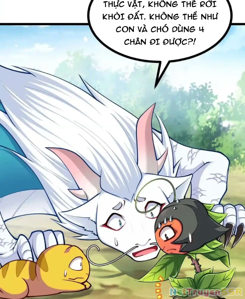 Thôn phệ đi, đại chùy hoa Chapter 21 - Trang 2