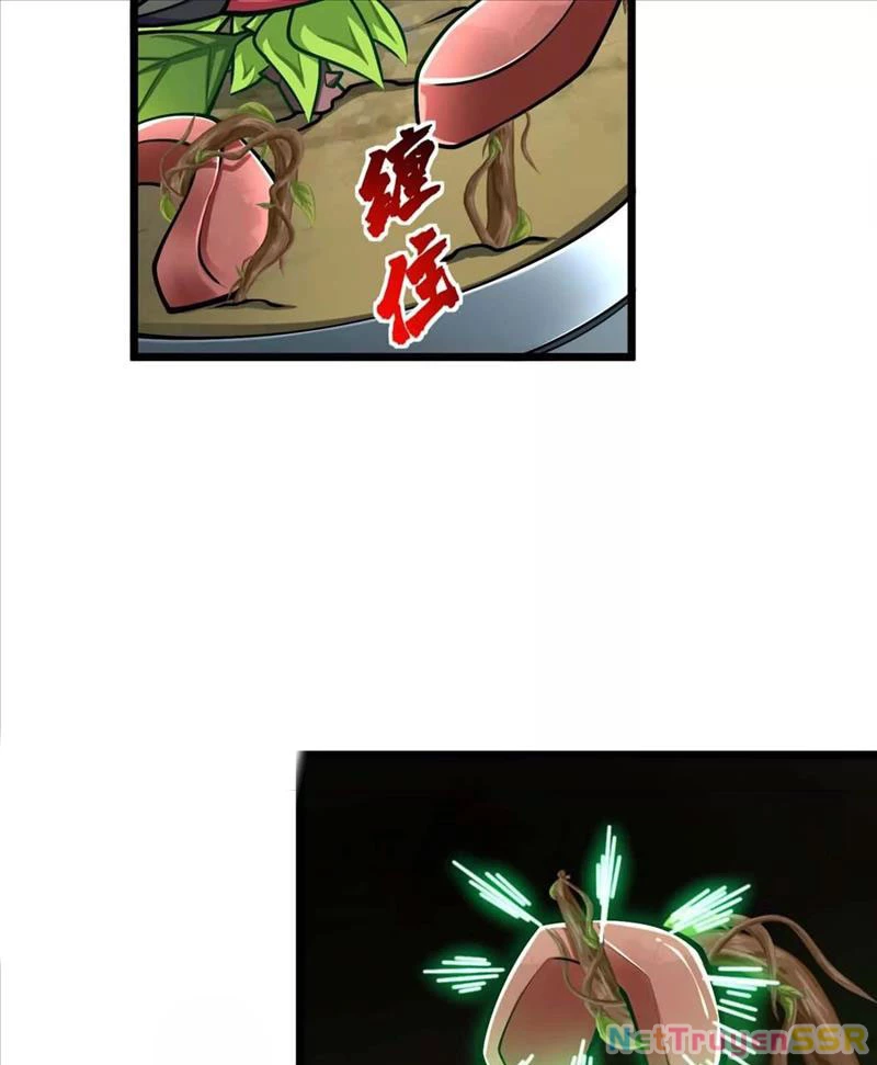 Thôn phệ đi, đại chùy hoa Chapter 23 - Trang 2