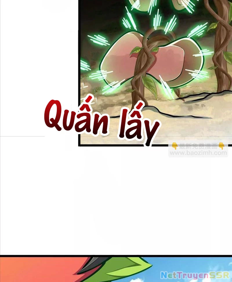 Thôn phệ đi, đại chùy hoa Chapter 23 - Trang 2