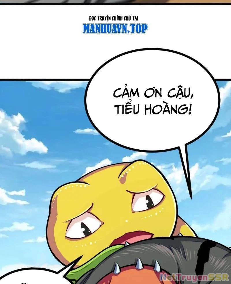 Thôn phệ đi, đại chùy hoa Chapter 27 - Trang 2