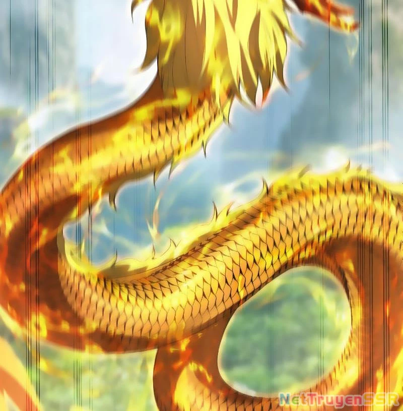 Vô Địch Đốn Ngộ Chapter 292 - Trang 2