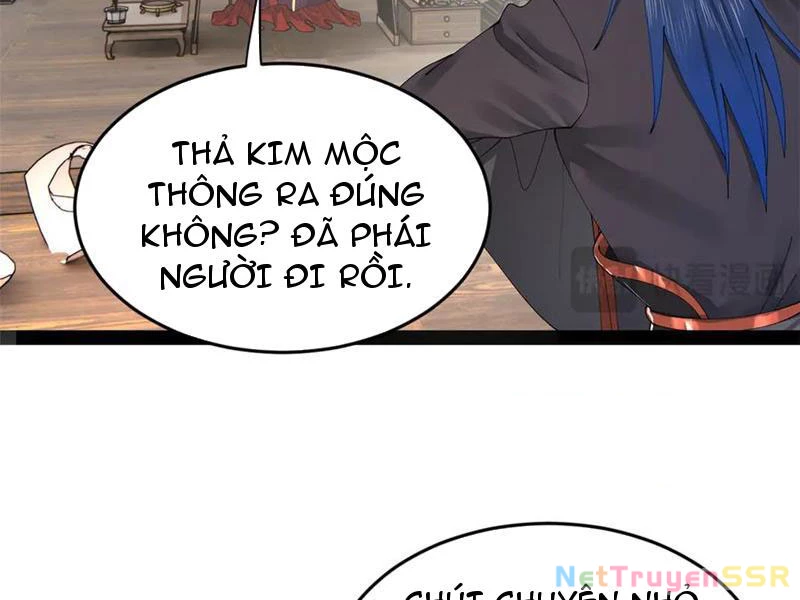 Chàng Rể Mạnh Nhất Lịch Sử Chapter 202 - Trang 4