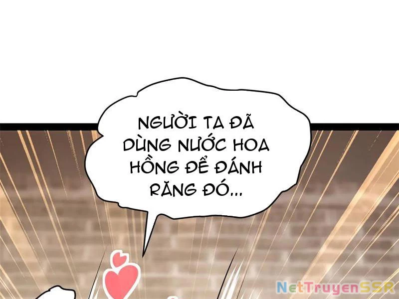 Chàng Rể Mạnh Nhất Lịch Sử Chapter 203 - Trang 4