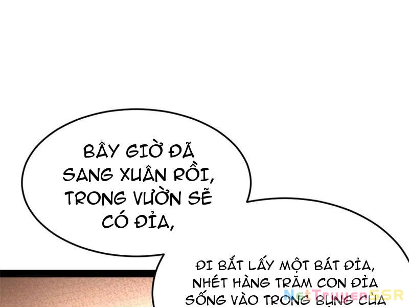 Chàng Rể Mạnh Nhất Lịch Sử Chapter 203 - Trang 4