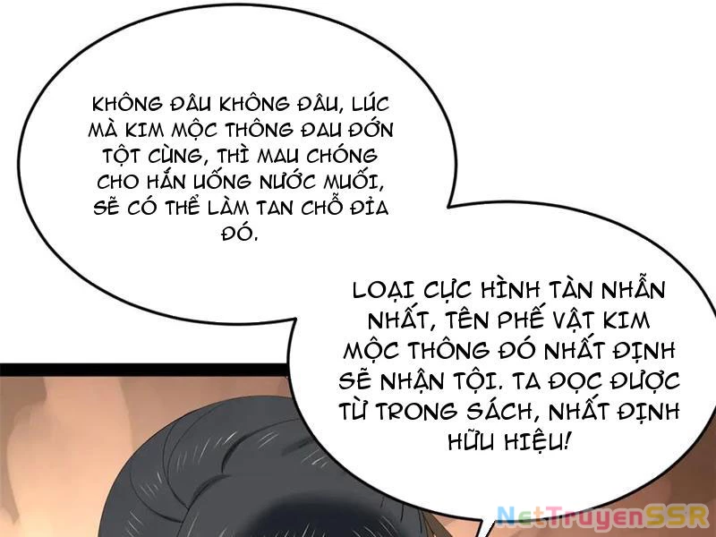 Chàng Rể Mạnh Nhất Lịch Sử Chapter 203 - Trang 4