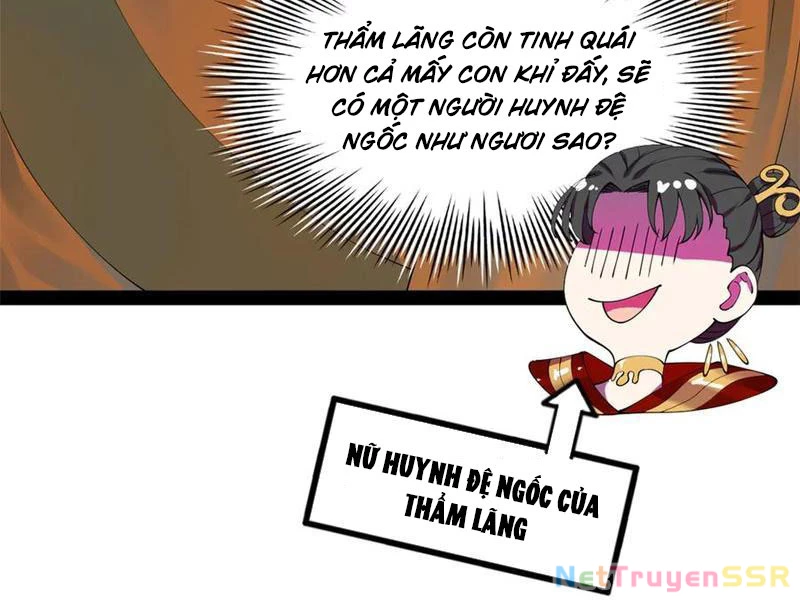 Chàng Rể Mạnh Nhất Lịch Sử Chapter 203 - Trang 4