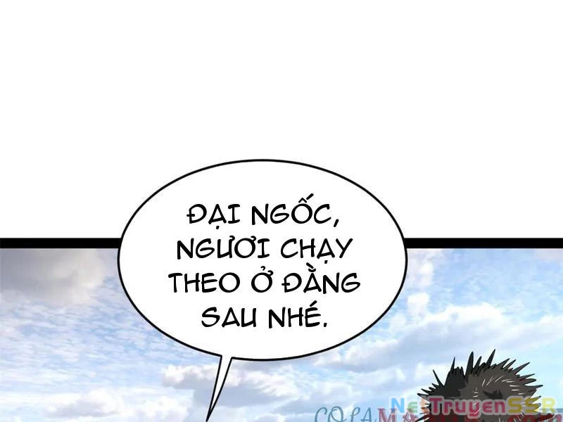 Chàng Rể Mạnh Nhất Lịch Sử Chapter 203 - Trang 4
