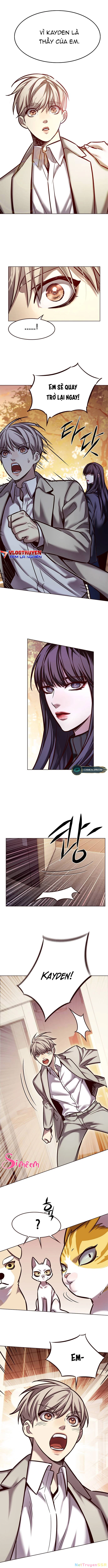 Hoá Thân Thành Mèo Chapter 282 - Trang 4