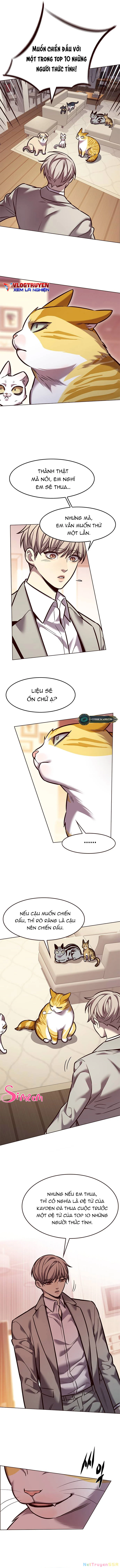 Hoá Thân Thành Mèo Chapter 282 - Trang 4