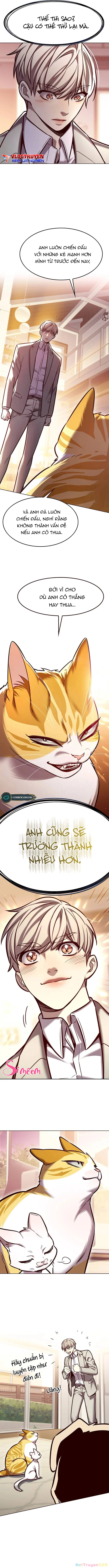 Hoá Thân Thành Mèo Chapter 282 - Trang 4