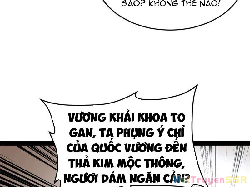Chàng Rể Mạnh Nhất Lịch Sử Chapter 204 - Trang 4