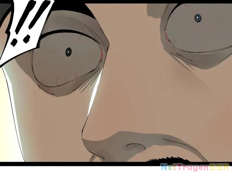 Chàng Rể Mạnh Nhất Lịch Sử Chapter 204 - Trang 4