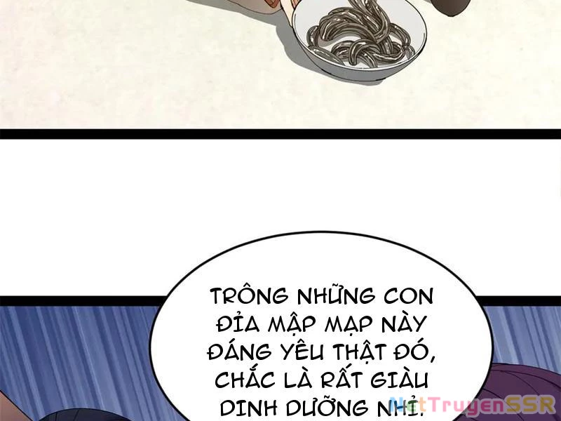 Chàng Rể Mạnh Nhất Lịch Sử Chapter 204 - Trang 4