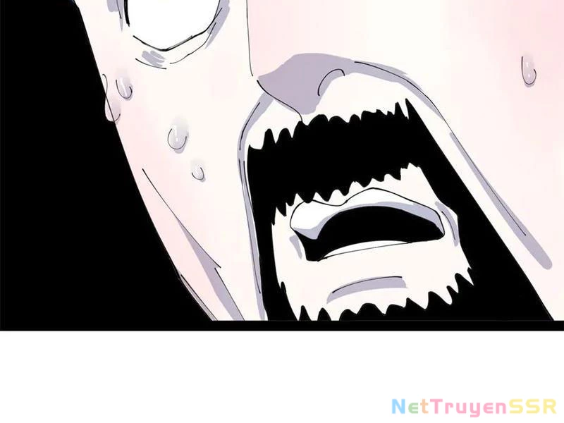 Chàng Rể Mạnh Nhất Lịch Sử Chapter 204 - Trang 4