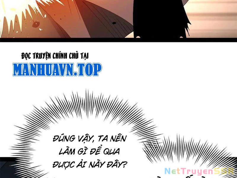 Chàng Rể Mạnh Nhất Lịch Sử Chapter 205 - Trang 4