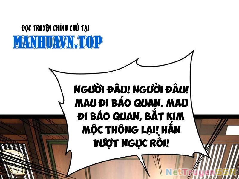 Chàng Rể Mạnh Nhất Lịch Sử Chapter 205 - Trang 4