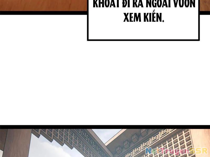 Chàng Rể Mạnh Nhất Lịch Sử Chapter 205 - Trang 4